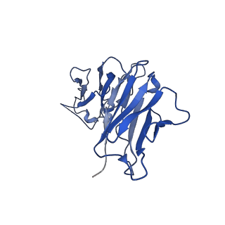 24875_7s6d_F_v1-1
CryoEM structure of modular PKS holo-Lsd14 bound to antibody fragment 1B2, composite structure