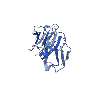 24875_7s6d_G_v1-1
CryoEM structure of modular PKS holo-Lsd14 bound to antibody fragment 1B2, composite structure