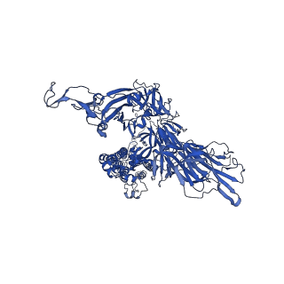 24876_7s6i_A_v1-1
SARS-CoV-2-6P-Mut2 S protein