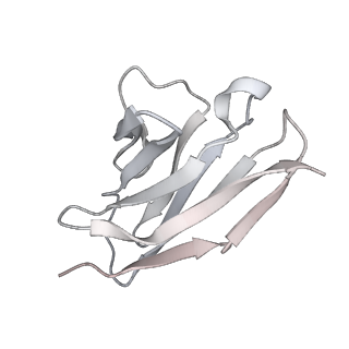 24877_7s6j_G_v1-1
J08 fragment antigen binding in complex with SARS-CoV-2-6P-Mut2 S protein (conformation 1)