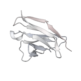 24877_7s6j_L_v1-1
J08 fragment antigen binding in complex with SARS-CoV-2-6P-Mut2 S protein (conformation 1)