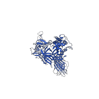 24878_7s6k_B_v1-1
J08 fragment antigen binding in complex with SARS-CoV-2-6P-Mut2 S protein (conformation 2)