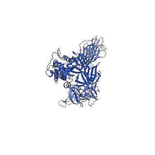24878_7s6k_E_v1-1
J08 fragment antigen binding in complex with SARS-CoV-2-6P-Mut2 S protein (conformation 2)