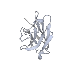 24878_7s6k_F_v1-1
J08 fragment antigen binding in complex with SARS-CoV-2-6P-Mut2 S protein (conformation 2)