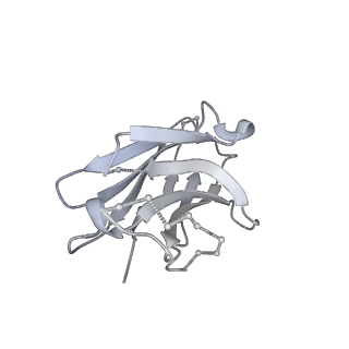24878_7s6k_H_v1-1
J08 fragment antigen binding in complex with SARS-CoV-2-6P-Mut2 S protein (conformation 2)