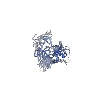 24879_7s6l_C_v1-1
J08 fragment antigen binding in complex with SARS-CoV-2-6P-Mut7 S protein (conformation 3)