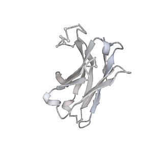 24879_7s6l_H_v1-1
J08 fragment antigen binding in complex with SARS-CoV-2-6P-Mut7 S protein (conformation 3)