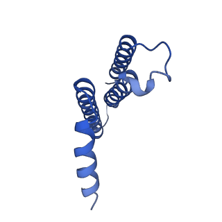 10110_6s7o_D_v1-1
Cryo-EM structure of human oligosaccharyltransferase complex OST-A