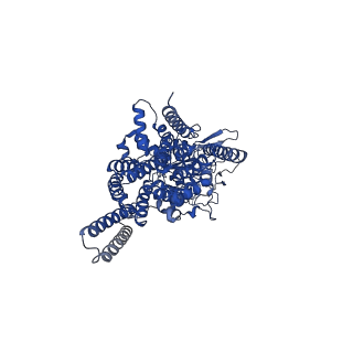 10112_6s7t_A_v1-1
Cryo-EM structure of human oligosaccharyltransferase complex OST-B
