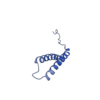 10112_6s7t_C_v1-1
Cryo-EM structure of human oligosaccharyltransferase complex OST-B
