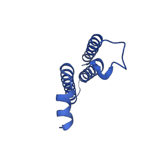 10112_6s7t_D_v1-1
Cryo-EM structure of human oligosaccharyltransferase complex OST-B