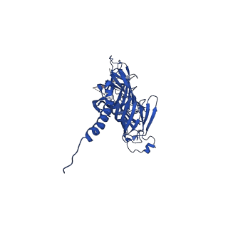 10112_6s7t_E_v1-1
Cryo-EM structure of human oligosaccharyltransferase complex OST-B