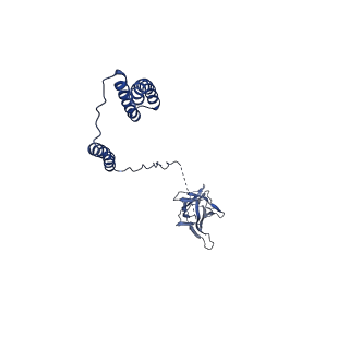 10112_6s7t_F_v1-1
Cryo-EM structure of human oligosaccharyltransferase complex OST-B