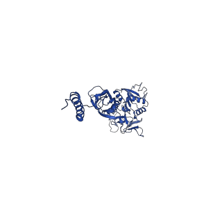 10112_6s7t_G_v1-1
Cryo-EM structure of human oligosaccharyltransferase complex OST-B