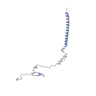 24881_7s78_Q_v1-1
Structure of a cell-entry defective human adenovirus provides insights into precursor proteins and capsid maturation