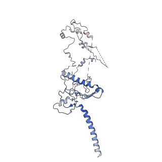 24882_7s7b_F_v1-1
Human Nuclear exosome targeting (NEXT) complex homodimer bound to RNA (substrate 1)