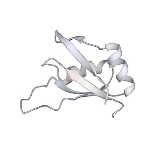 24882_7s7b_G_v1-1
Human Nuclear exosome targeting (NEXT) complex homodimer bound to RNA (substrate 1)