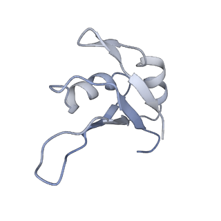 24883_7s7c_C_v1-1
Human Nuclear Exosome Targeting (NEXT) complex bound to RNA (substrate 2)