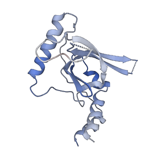 24883_7s7c_E_v1-1
Human Nuclear Exosome Targeting (NEXT) complex bound to RNA (substrate 2)