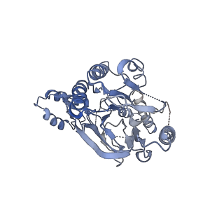10116_6s85_B_v1-2
Cutting state of the E. coli Mre11-Rad50 (SbcCD) head complex bound to ADP and dsDNA.