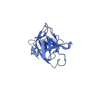 10118_6s8d_A_v1-2
Structure of ZEBOV GP in complex with 1T0227 antibody