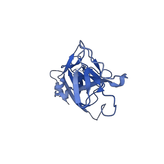 10118_6s8d_A_v2-0
Structure of ZEBOV GP in complex with 1T0227 antibody