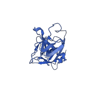 10118_6s8d_C_v1-2
Structure of ZEBOV GP in complex with 1T0227 antibody