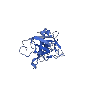 10118_6s8d_E_v1-2
Structure of ZEBOV GP in complex with 1T0227 antibody