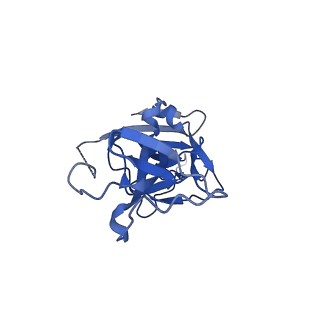 10118_6s8d_E_v2-0
Structure of ZEBOV GP in complex with 1T0227 antibody