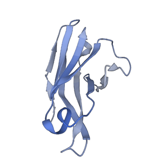 10118_6s8d_L_v2-0
Structure of ZEBOV GP in complex with 1T0227 antibody
