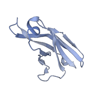 10118_6s8d_U_v1-2
Structure of ZEBOV GP in complex with 1T0227 antibody