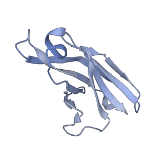 10118_6s8d_U_v2-0
Structure of ZEBOV GP in complex with 1T0227 antibody