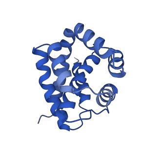 10119_6s8e_A_v1-2
Cryo-EM structure of the type III-B Cmr-beta complex bound to non-cognate target RNA