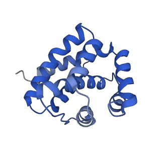 10119_6s8e_B_v1-2
Cryo-EM structure of the type III-B Cmr-beta complex bound to non-cognate target RNA