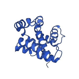 10119_6s8e_C_v1-2
Cryo-EM structure of the type III-B Cmr-beta complex bound to non-cognate target RNA
