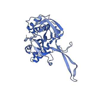 10119_6s8e_D_v1-2
Cryo-EM structure of the type III-B Cmr-beta complex bound to non-cognate target RNA