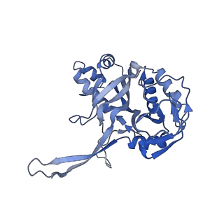 10119_6s8e_F_v1-2
Cryo-EM structure of the type III-B Cmr-beta complex bound to non-cognate target RNA
