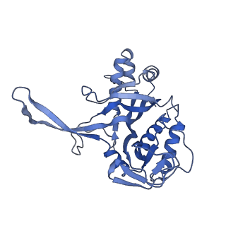 10119_6s8e_G_v1-2
Cryo-EM structure of the type III-B Cmr-beta complex bound to non-cognate target RNA
