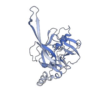 10119_6s8e_H_v1-2
Cryo-EM structure of the type III-B Cmr-beta complex bound to non-cognate target RNA