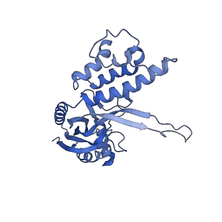 10119_6s8e_I_v1-2
Cryo-EM structure of the type III-B Cmr-beta complex bound to non-cognate target RNA