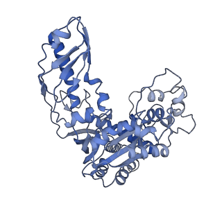 10119_6s8e_J_v1-2
Cryo-EM structure of the type III-B Cmr-beta complex bound to non-cognate target RNA