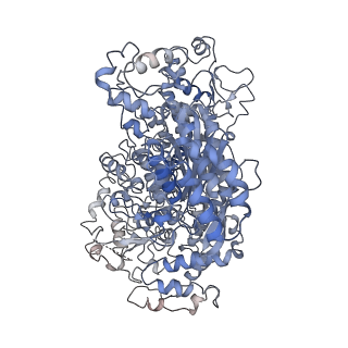 10119_6s8e_K_v1-2
Cryo-EM structure of the type III-B Cmr-beta complex bound to non-cognate target RNA
