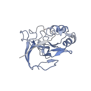 10119_6s8e_L_v1-2
Cryo-EM structure of the type III-B Cmr-beta complex bound to non-cognate target RNA