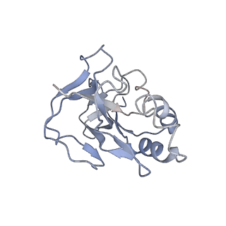 10119_6s8e_M_v1-2
Cryo-EM structure of the type III-B Cmr-beta complex bound to non-cognate target RNA