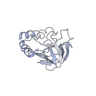 10119_6s8e_N_v1-2
Cryo-EM structure of the type III-B Cmr-beta complex bound to non-cognate target RNA