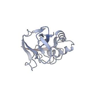 10119_6s8e_P_v1-2
Cryo-EM structure of the type III-B Cmr-beta complex bound to non-cognate target RNA