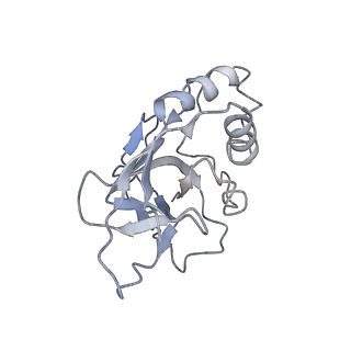 10119_6s8e_Q_v1-2
Cryo-EM structure of the type III-B Cmr-beta complex bound to non-cognate target RNA