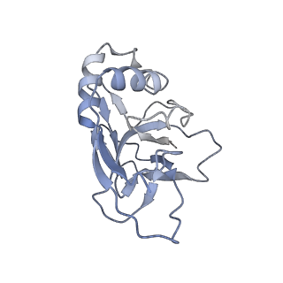 10119_6s8e_R_v1-2
Cryo-EM structure of the type III-B Cmr-beta complex bound to non-cognate target RNA