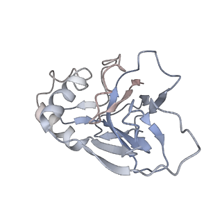 10119_6s8e_S_v1-2
Cryo-EM structure of the type III-B Cmr-beta complex bound to non-cognate target RNA