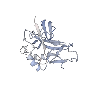 10119_6s8e_T_v1-2
Cryo-EM structure of the type III-B Cmr-beta complex bound to non-cognate target RNA